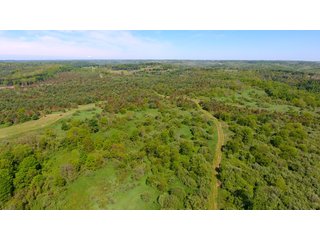 Property photo 5 - LAND AUCTION - 2,596+/- ACRES IN 28 TRACTS IN COSHOCTON & MUSKINGUM COUNTIES, OHIO